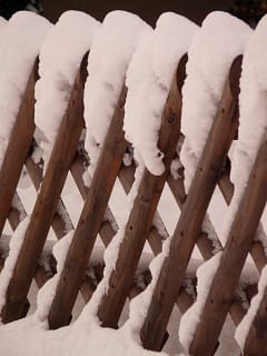 fence-5529_1280